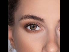 ColourVUE 3 Tones Brown - ohne Stärke (2 Linsen)