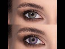 FreshLook ColorBlends Amethyst - ohne Stärke (2 Linsen)