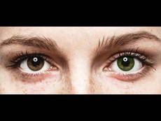 FreshLook Dimensions Sea Green - mit Stärke (6 Linsen)
