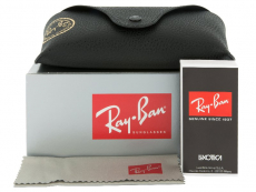 Ray-Ban RB4181 601/9A 