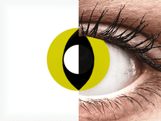 CRAZY LENS - Cat Eye Yellow - Tageslinsen ohne Stärke (2 Linsen)